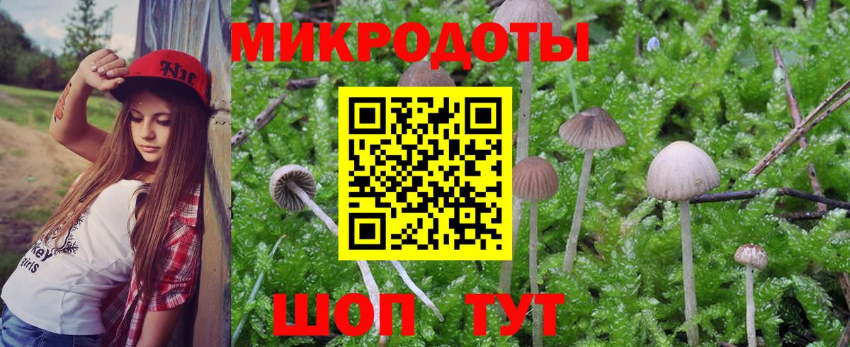 где купить наркотик  Галлюциногенные грибы ЛСД  Вход с VPN  Рыбинск 