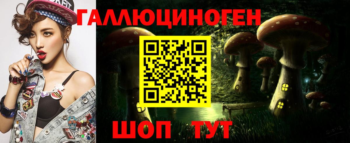Галлюциногенные грибы Psilocybe Рыбинск